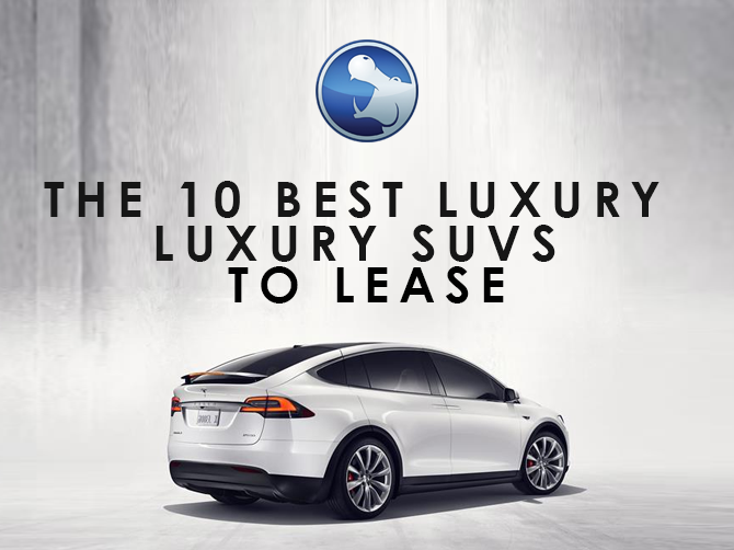 The 10 best luxury SUVs to lease Hippo Leasing